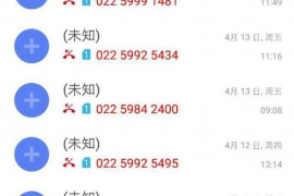 如何应付阳光催收：有效策略与案例分析